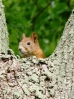 Mazury - 2009