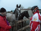 2016-04-15 czw dzień gapienia się w niebo