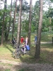 Rybno