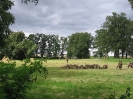 W Annowie