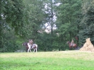 W Annowie