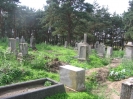 Podwiesk cmentarz menonicki