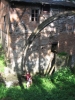 Koronowo Diabelski Młyn