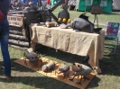 Koronowo Piknik Cysterski