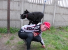 Maj_7