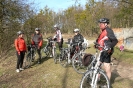 Motory_24