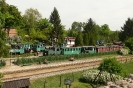 Smerzyn_13