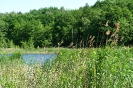 Jezioro Bielskie_21
