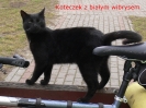 Bory Tucholskie_2