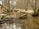 Bory Tucholskie_6