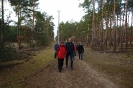 Spacerkiem po lesie_24