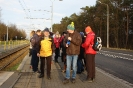 Spacerkiem po lesie_2